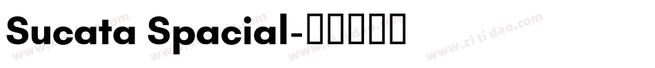 Sucata Spacial字体转换